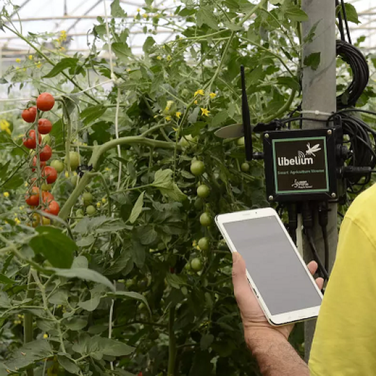Nông nghiệp chính xác và tưới tự động cho cây trồng hữu cơ với công nghệ IoT của Libelium