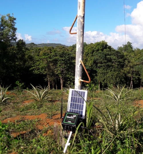 Lắp đặt thiết bị cảm biến chất lượng đất cây hoa mầu (Install Smart agriculture plug and sense for crop monitoring in soil)
