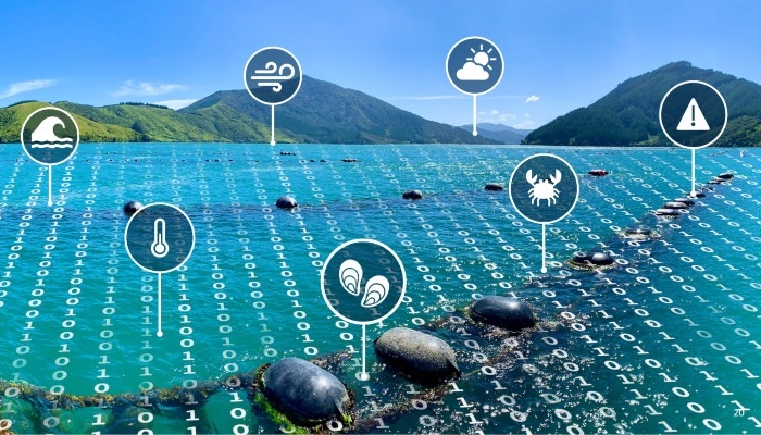 Việt Nam tăng cường ứng dụng công nghệ số trong nuôi trồng thủy sản